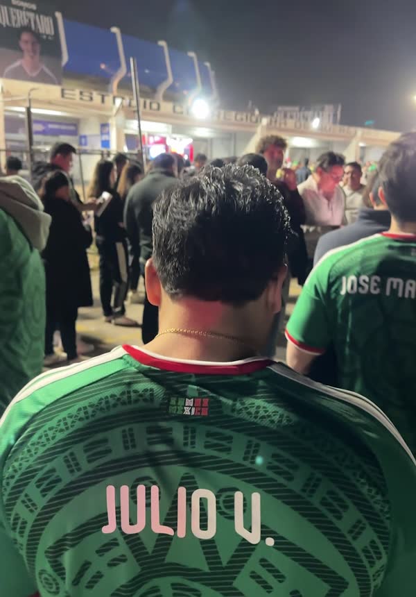 JulioVM1 en el México vs Islandia